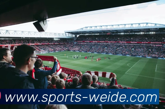 体育下注平台生态图