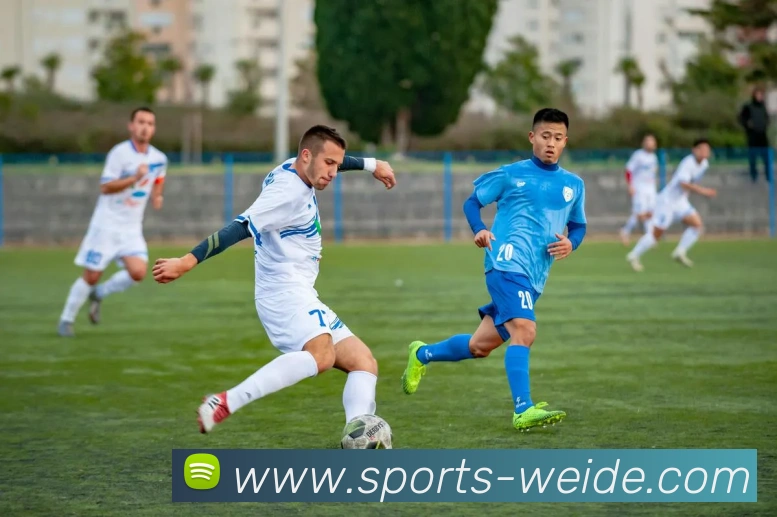 企业概况