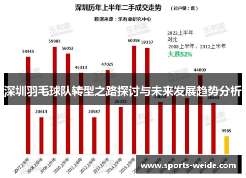 深圳羽毛球队转型之路探讨与未来发展趋势分析